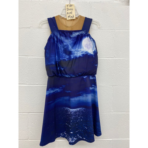 One Hit Dress A114