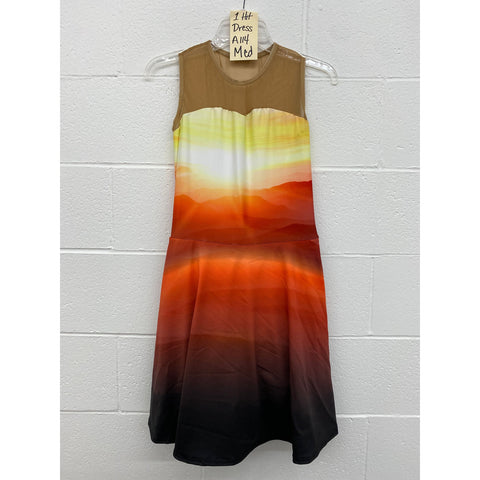 One Hit Dress A114