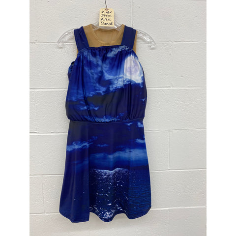 One Hit Dress A115