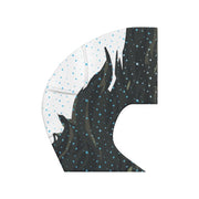 SSFLAG-StarryNight-StockDesign-HRL-2023