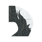 SSFLAG-StarryNight-StockDesign-HRL-2023